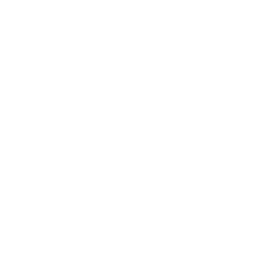 imbrr logo